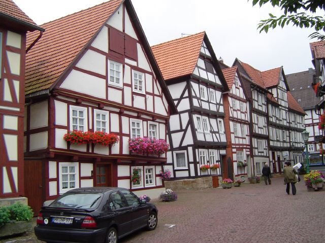 Foto der Woche